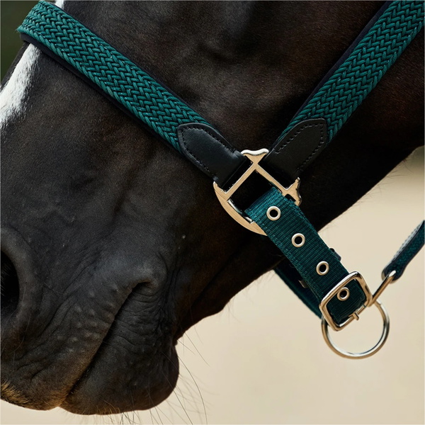 2026 Dublin Braided Leather Headcollar 1031532 - Hunter Green